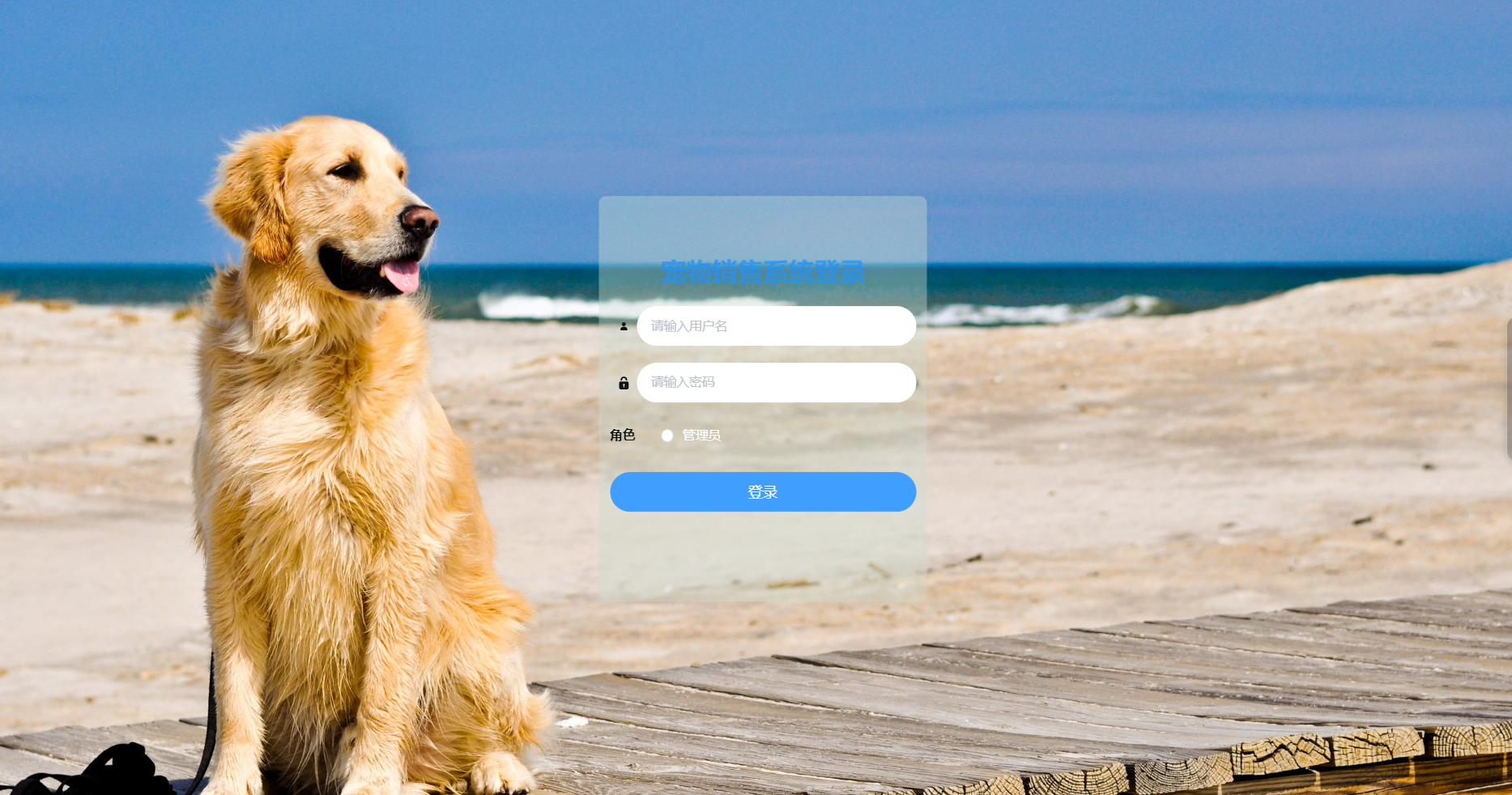 image-20240412212717575