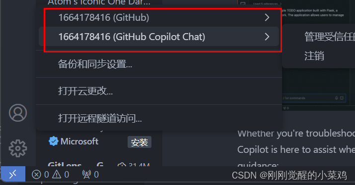 github copilot学生认证（手把手一小时成功）