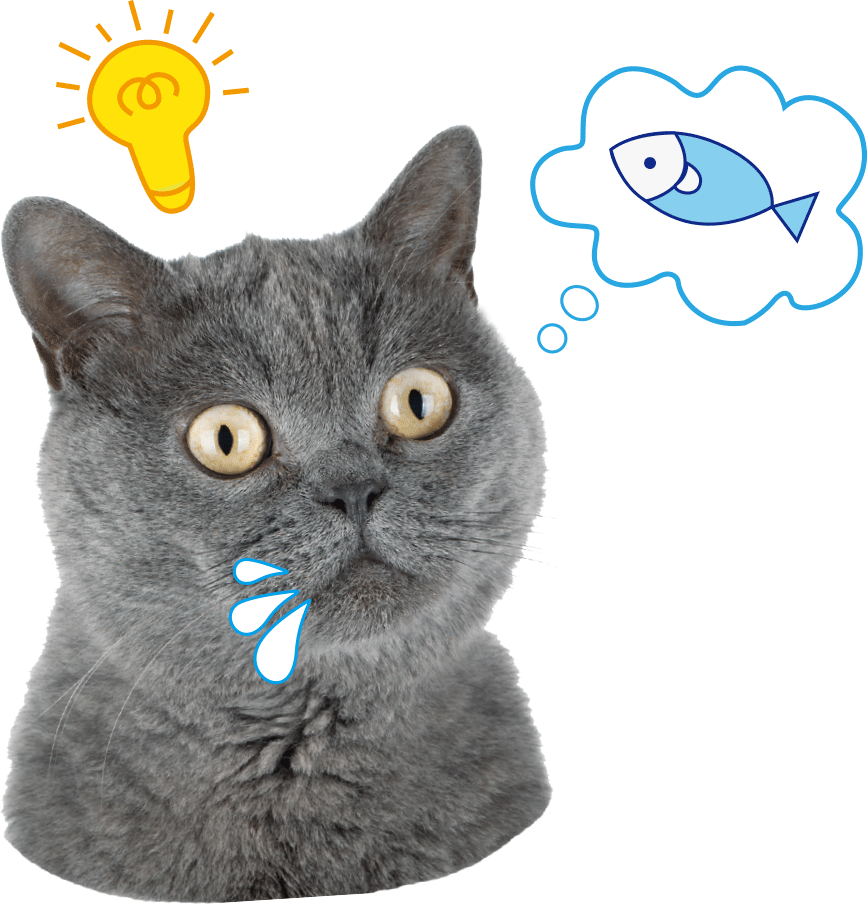 https://mmbiz.qpic.cn/mmbiz_png/ibMNOojSZERv9GnCUgTaE31WTd91XwWNzM1ccECfkNqR1e8RRLQQVZjdWoLhtn6Q3qqhggj9dCcHovqKHR0bHfw/?wx_fmt=png
