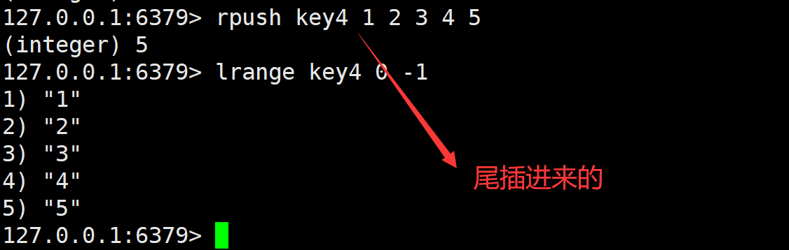 image-20240704145038461