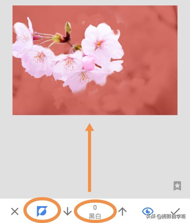 1d1cf0fc455802c70f6014bd1ac11acb.png