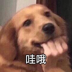 QQ图片20220115153344.jpg