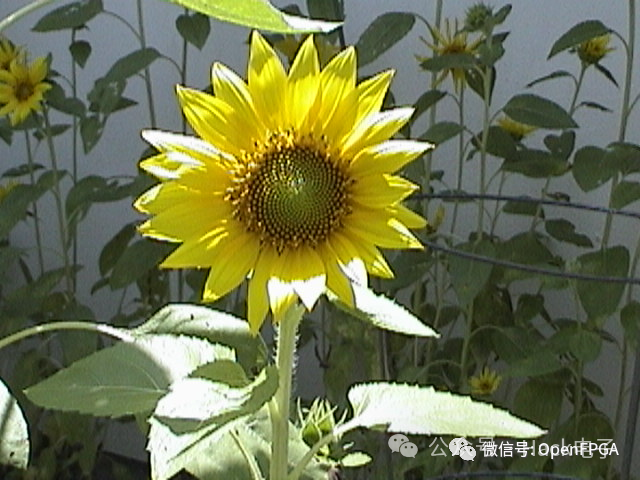 19e6550c60ec5ac3c3039789b584d7bf.png