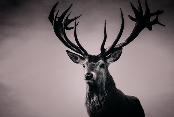 20 New Photo Editing Tutorials to Take Your Photography to the Next Level