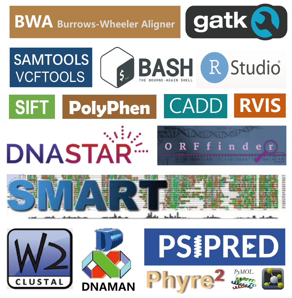 50bcab41307ba21ae454f478387a3289.png