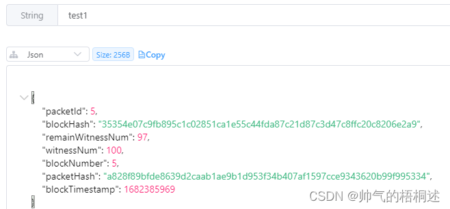 Jackson2JsonRedisSerializer使用及问题-CSDN博客