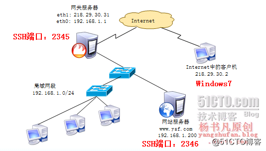 杨书凡09.png