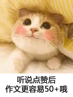 39a16bf9b0d8079a1553c5afac286e51.png