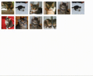 vue-gallery-slideshow