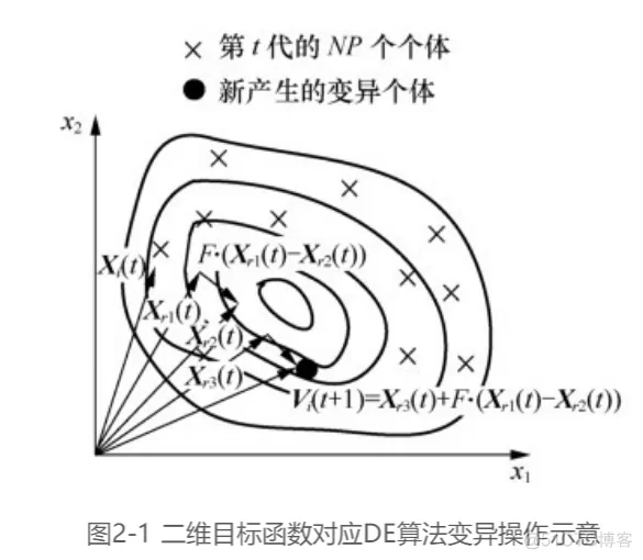【TSP问题】基于差分进化求解的TSP问题matlab源码_matlab源码_04
