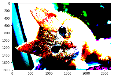img_048a71b1c5a53122b4729e6c51ed1a04.png