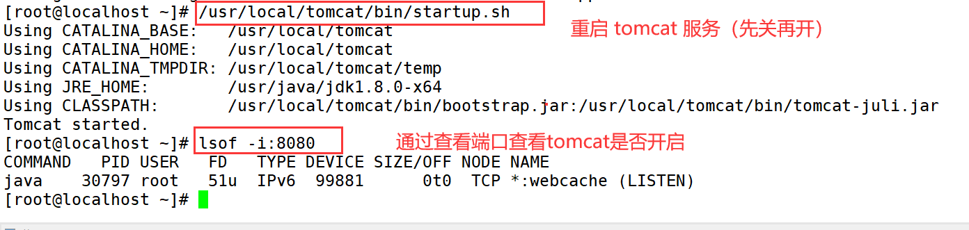 image-20230630030827287