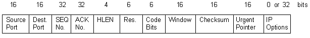 TCP header