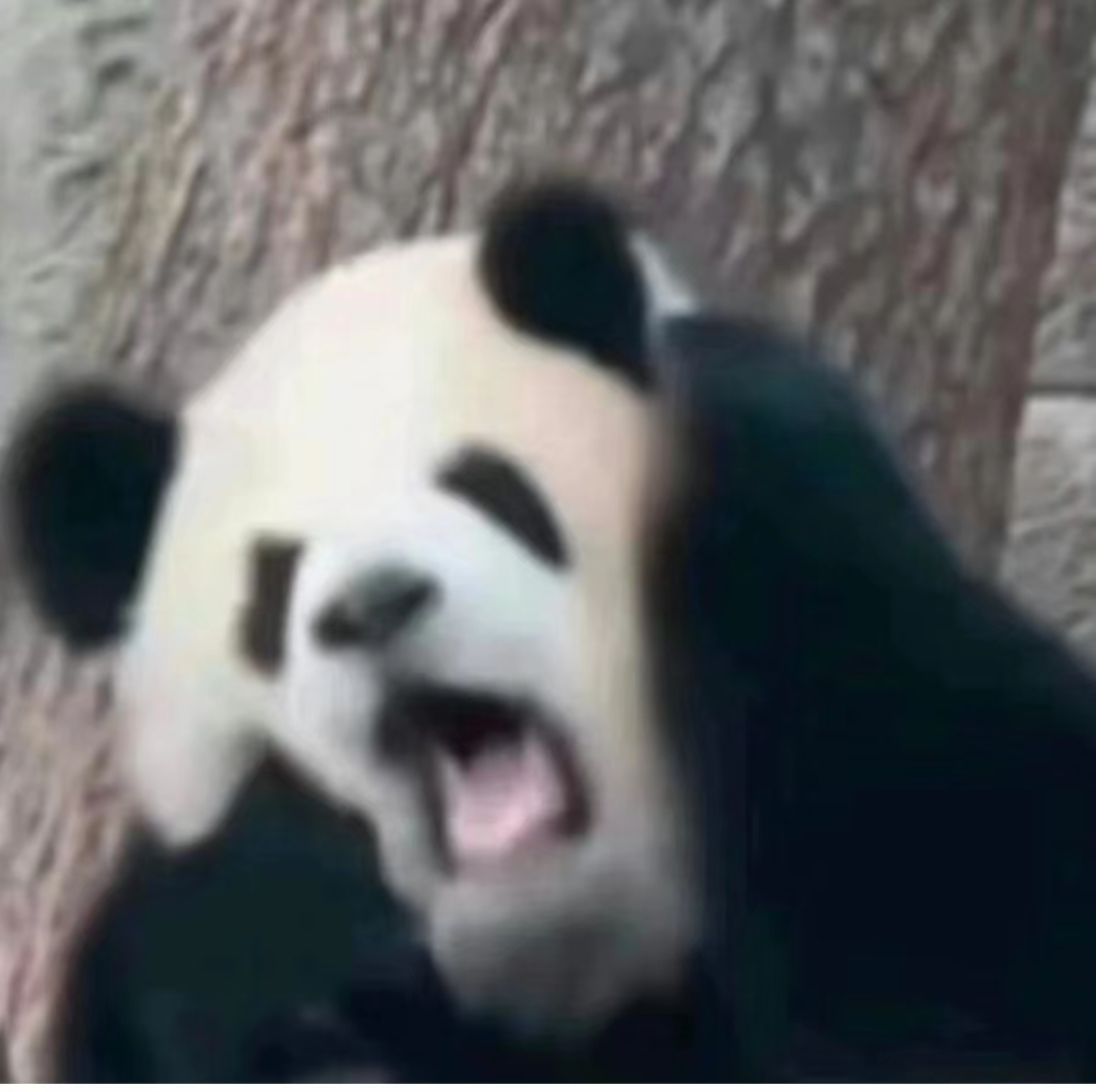 4a5cd5d94de0d2e7ef0bd5fad5281890.png