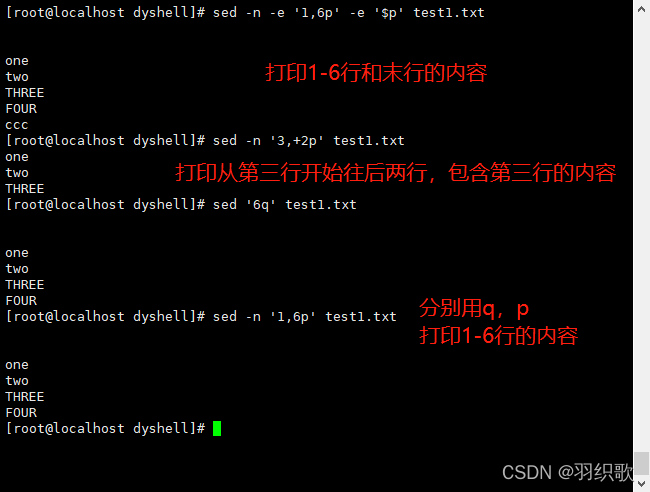 Shell脚本详解之sed编辑器详解_bash sed 区间-CSDN博客