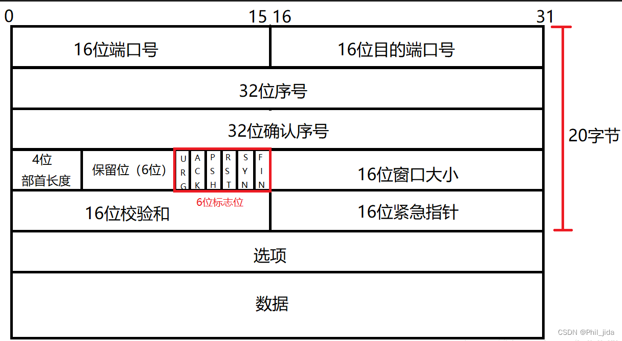 TCP报头