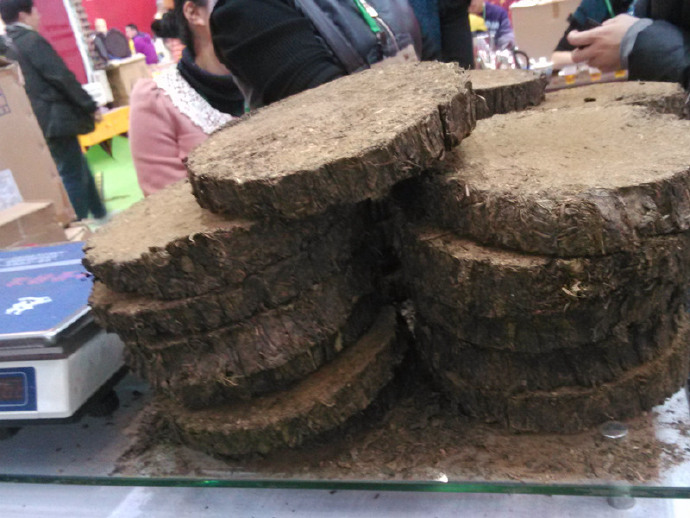 2013深圳茶博会 2013深圳茶博会
