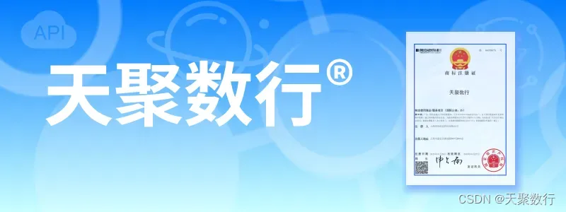 天聚数行品牌名称