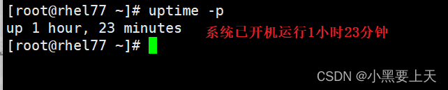 Linux命令(26)之uptime