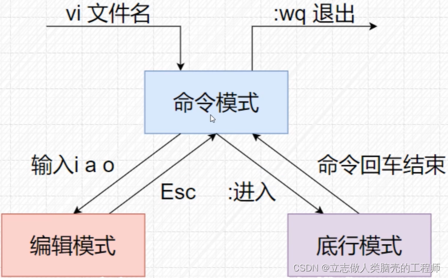 【基础期】Linux系统结构_linux分支-CSDN博客