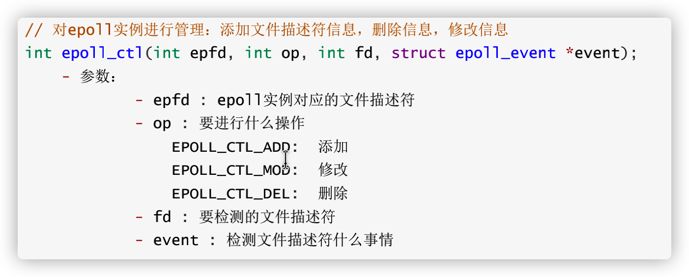 image-20211205170721007