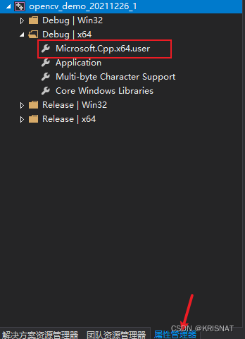 Microsoft.Cpp.x64.user