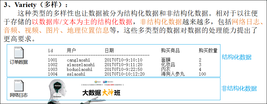 图1-4 大数据特点之多样