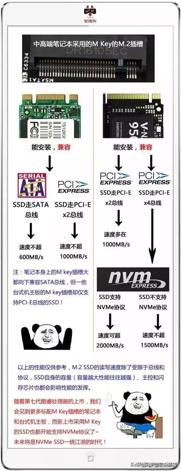 8d12cb5fd98a5da1ce7b98f75efb7c23.png