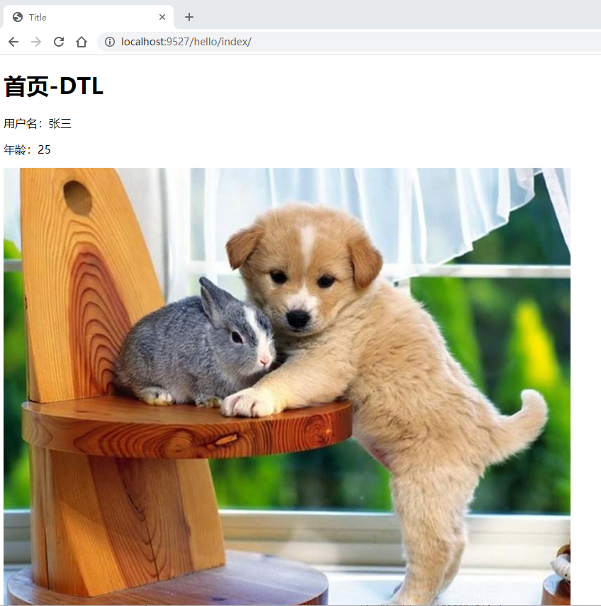 image-20210203173625537