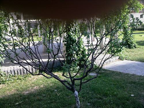 WinCE6.0双雄 酷派N900/魅族M8对比评测