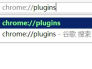 Google Chrome浏览器中如何使用命令