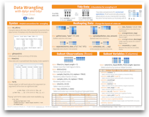 Data wrangling cheatsheet