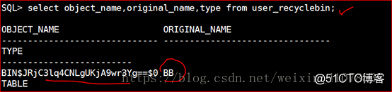 Oracle 11g R2 闪回技术