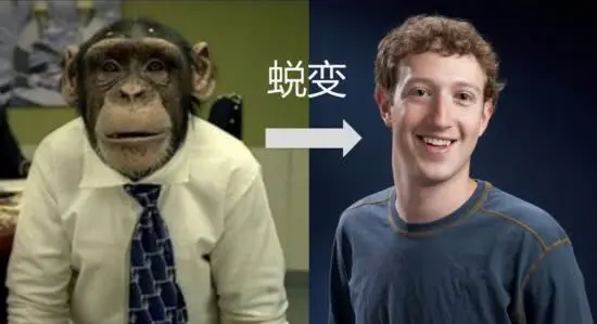 13894260-6e3a3e0a4af49c87.jpeg