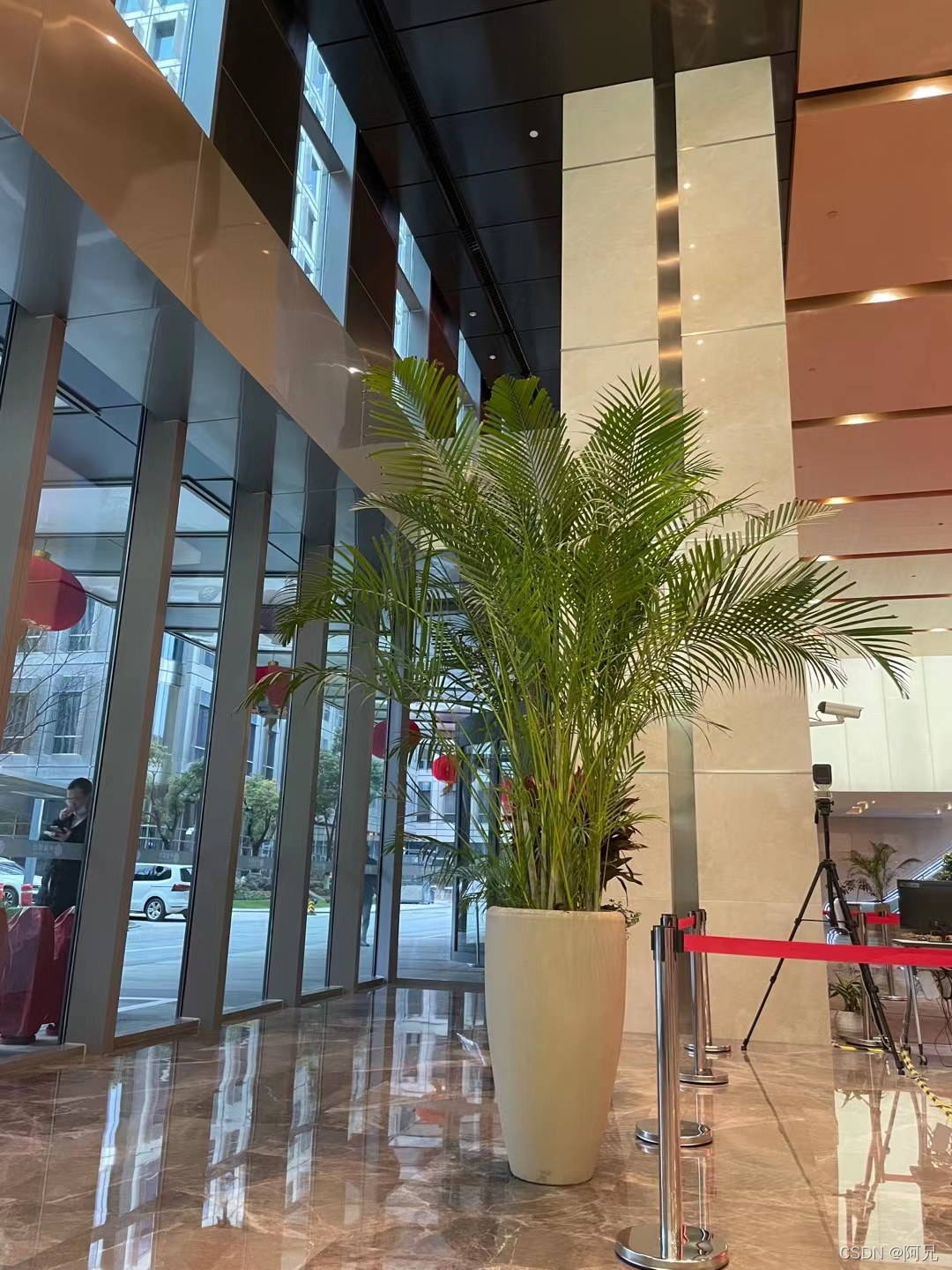 watermark,type_d3F5LXplbmhlaQ,shadow_50,text_Q1NETiBA6Zi_5YWE,size_20,color_FFFFFF,t_70,g_se,x_16