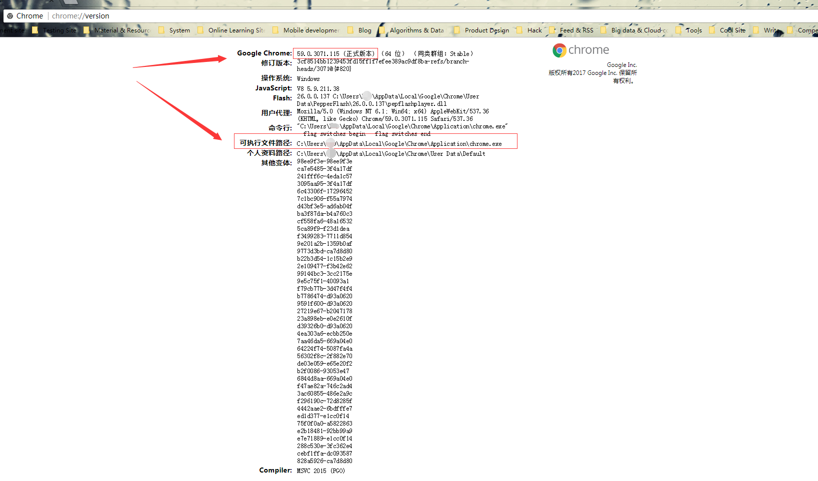 chrome://version/