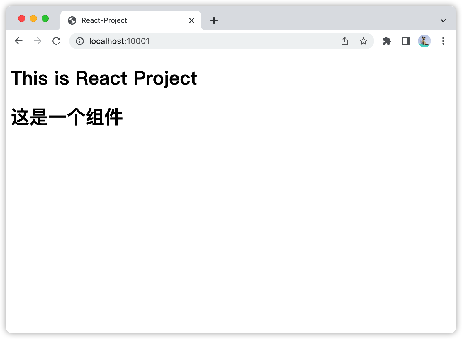 使用rollup.js解锁react组件开发新姿势_rollup 导报 react 项目 生成 sdk-CSDN博客