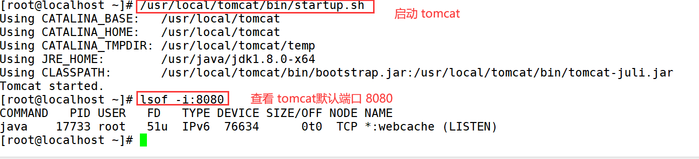 image-20230629232249068