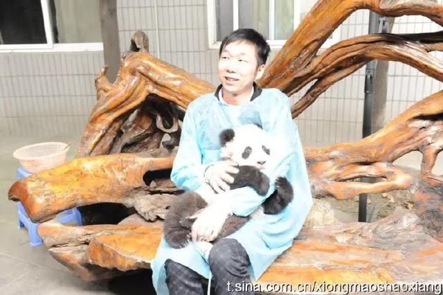“熊猫烧香”制造者的起伏人生