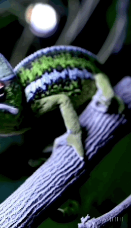 75d7d96f14d5ec3ef0328bbab7a41bc8.gif