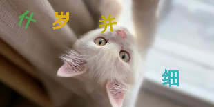 099f56f33003bdc1f5330a6978f94fe2.png