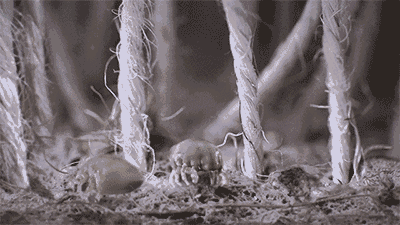 26bf80e9d0735546f9cf92d6fe4d934d.gif