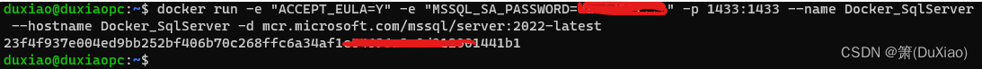 Docker_SqlServer_2