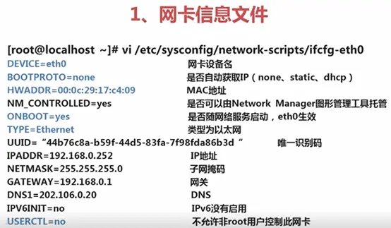 11997621-2acea5eebfb88c31.png