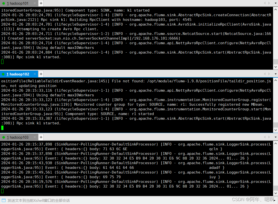 在这里插入图片描述