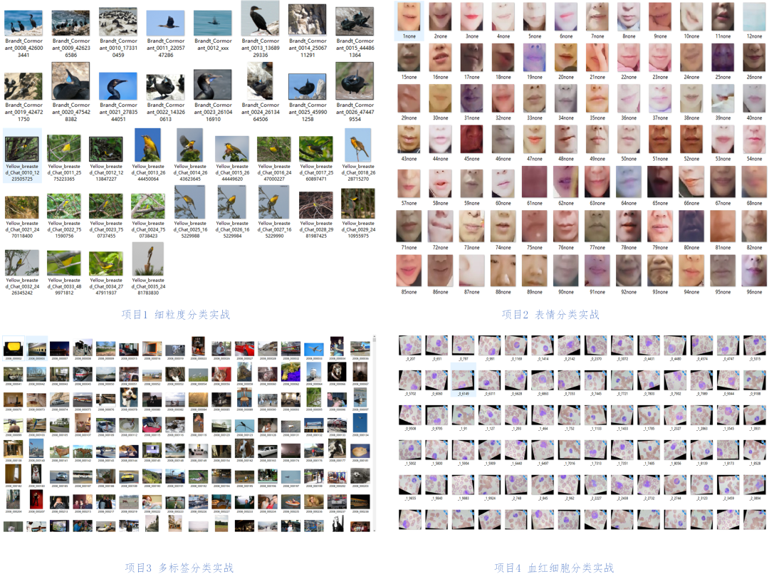 a4e291ae33905010e82d63f47dde3b60.png