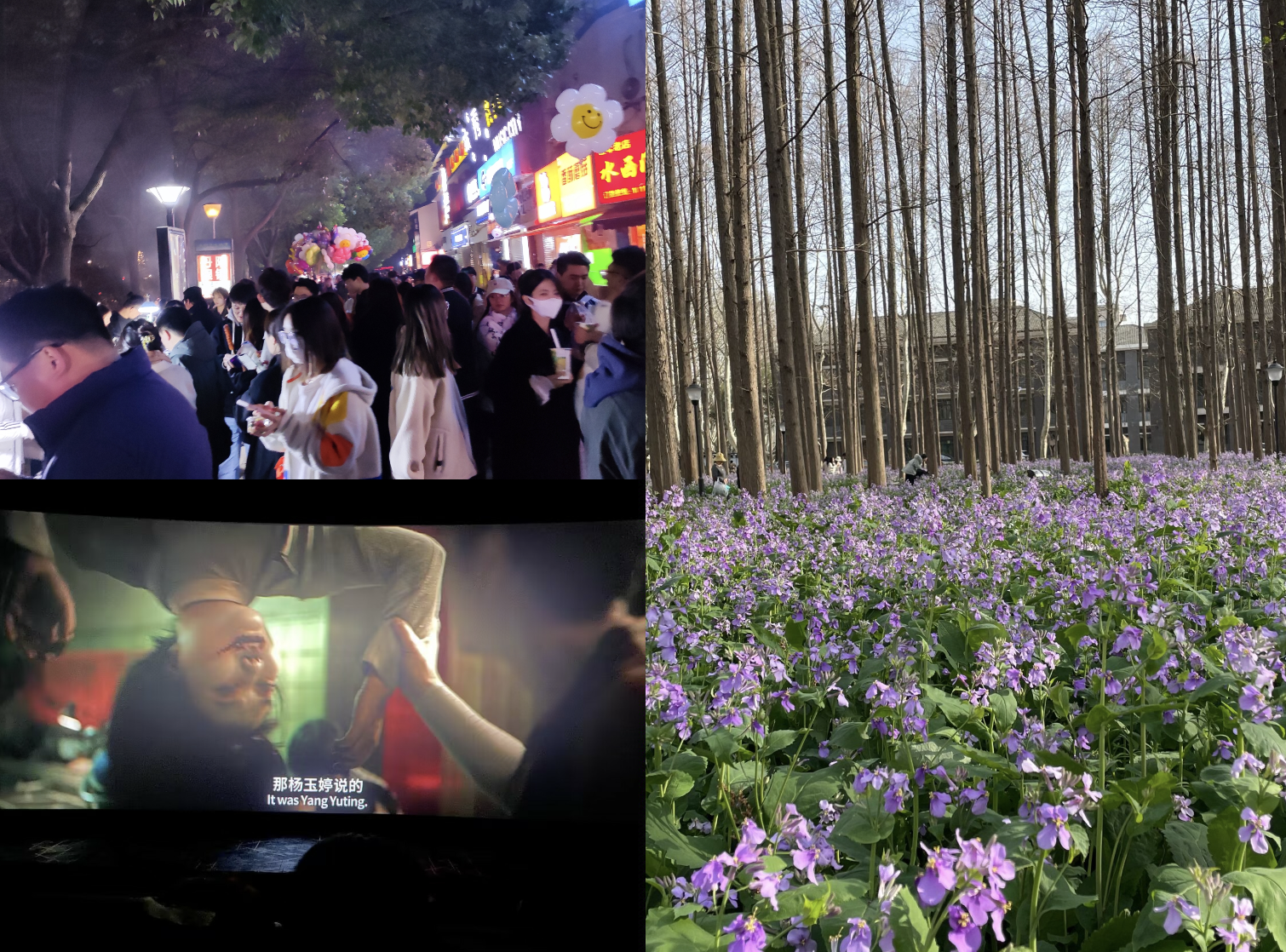 image-20230314171244596