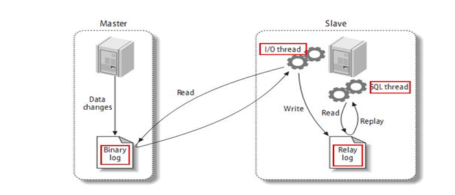 image-20201006220405125